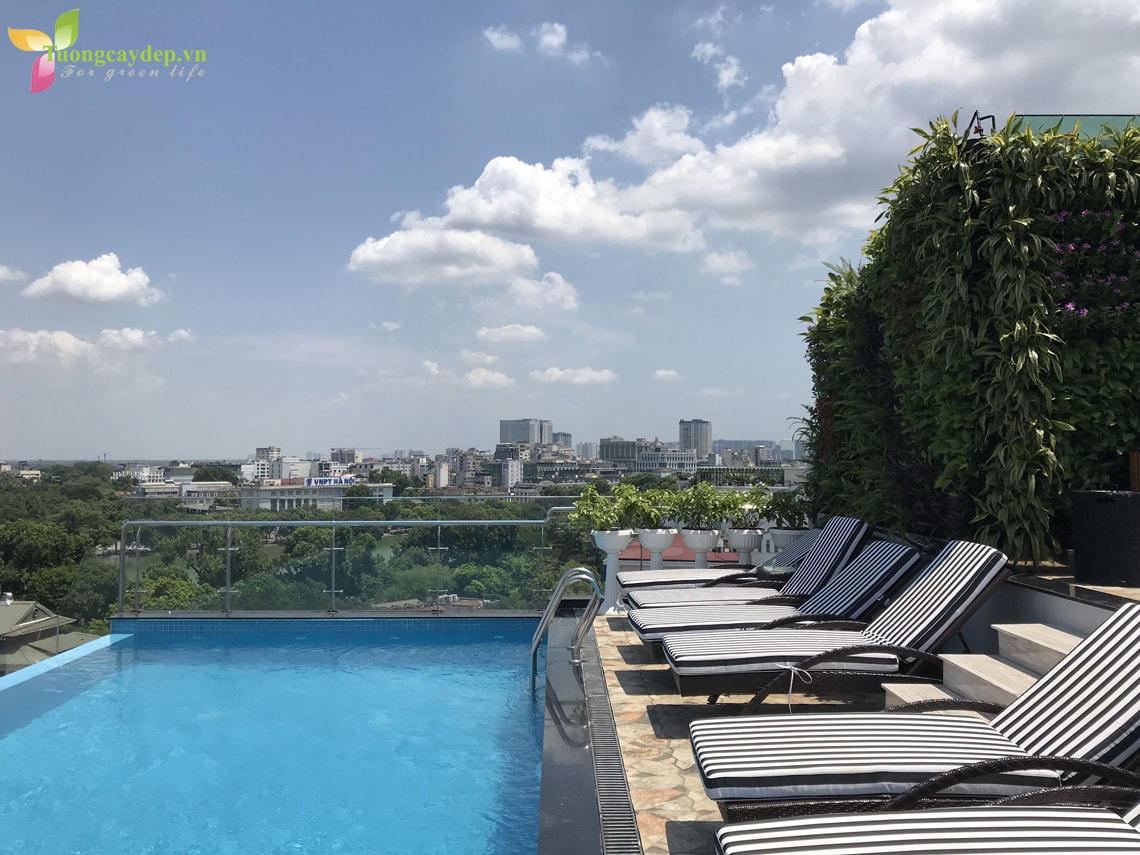 THIẾT KẾ THI CÔNG TƯỜNG CÂY BÊN HỒ BƠI NGOÀI TRỜI TẠI THE ORIENTAL JADE HOTEL THIẾT KẾ THI CÔNG TƯỜNG CÂY BÊN HỒ BƠI NGOÀI TRỜI TẠI THE ORIENTAL JADE HOTEL