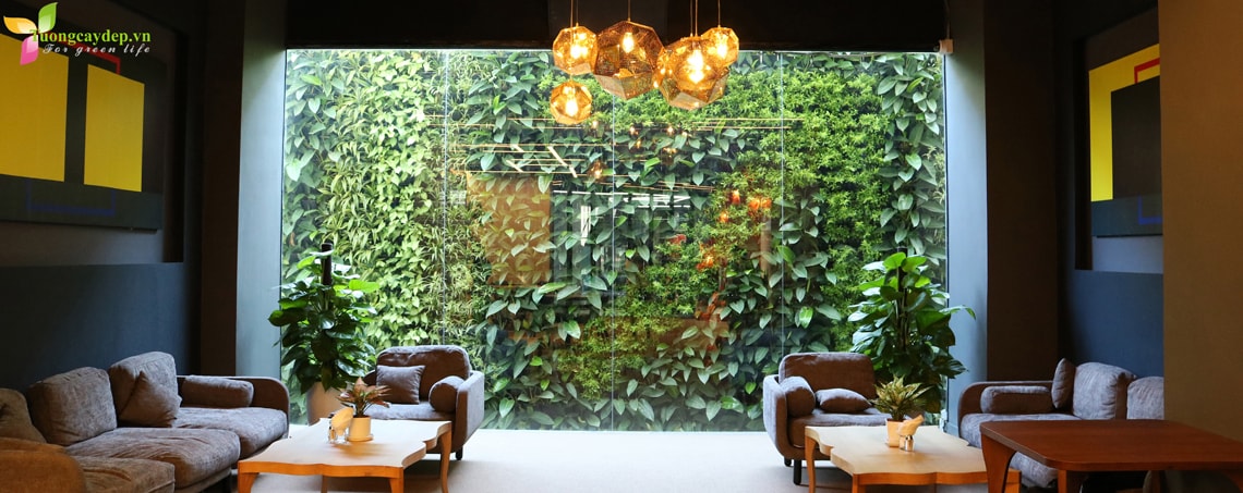 Thiết Kế Thi Công Vườn Đứng Tại Số 1 Lương Yên - Hai Bà Trưng - Hà Nội Thiết Kế Thi Công Vườn Đứng Tại Số 1 Lương Yên - Hai Bà Trưng - Hà Nội