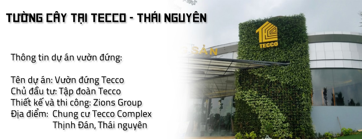 Thi Công Tường Cây Tecco Thái Nguyên Trên 50m2 Thi Công Tường Cây Tecco Thái Nguyên Trên 50m2