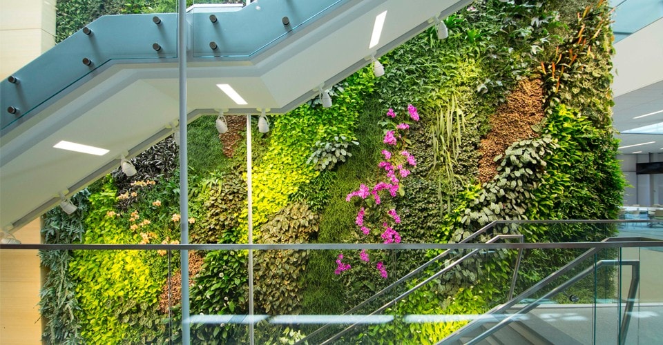 Tường Cây - Thi Công Tường Cây Đẹp Tường Cây - Thi Công Tường Cây Đẹp